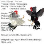 screenshot 2024 04 04 00 51 51 15 49b744a1119b10413101e3a8de88e0cd