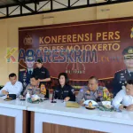 screenshot 2024 12 20 18 13 53 461 edit com.photogrid.collage.videomaker